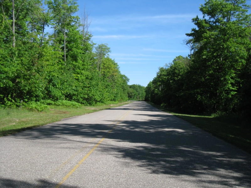 DEER RUN
