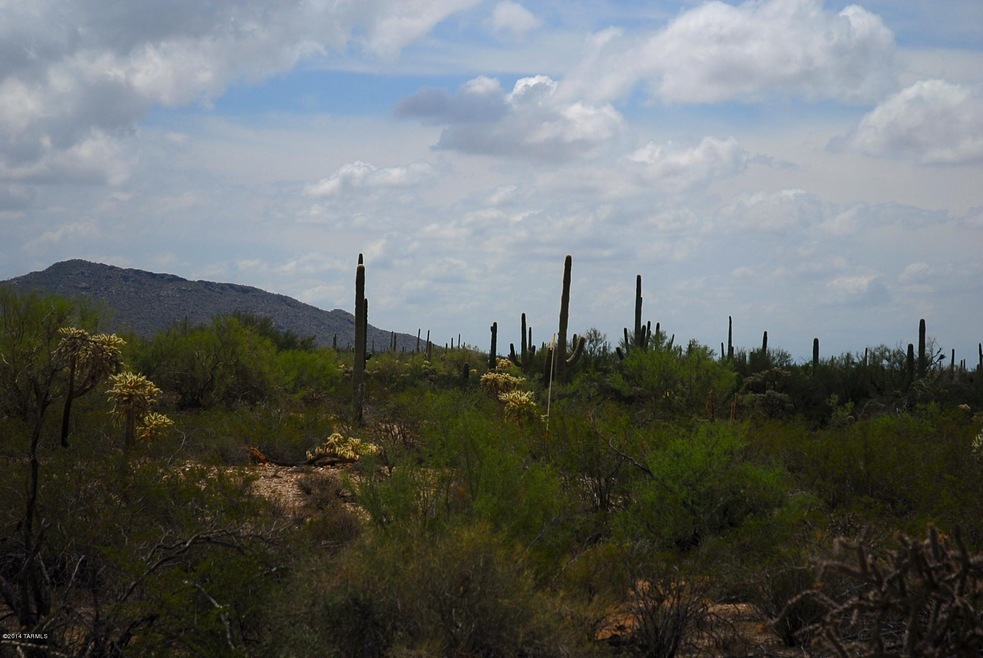 XXX Gas Line Rd unit 5AC, Marana, AZ 85658 - photo 1