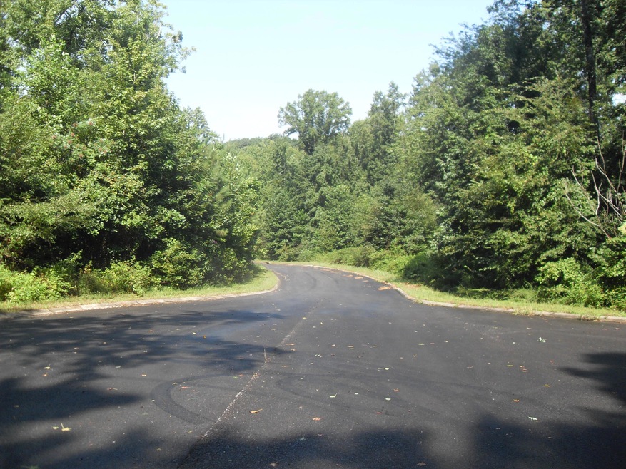 005 Loblolly Ln, Tunnel Hill, GA 30755 - photo 1