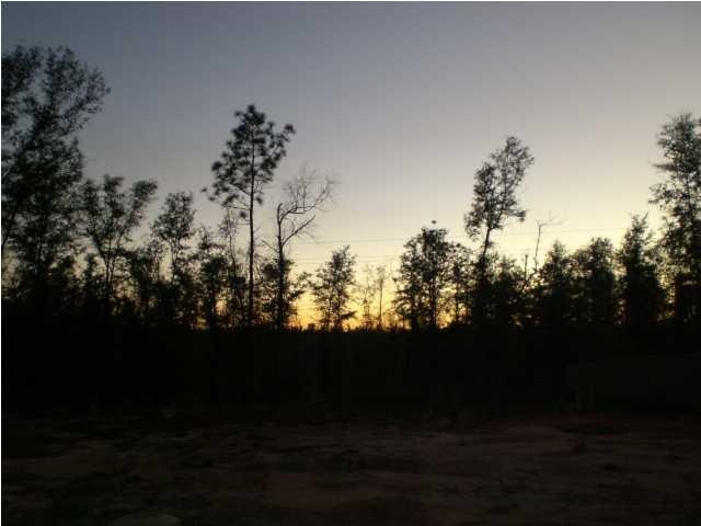 LOT IS CLEARED