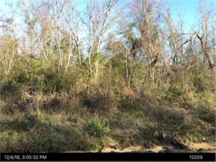 000 Mud Rd, Cordele, GA 31015 - photo 1