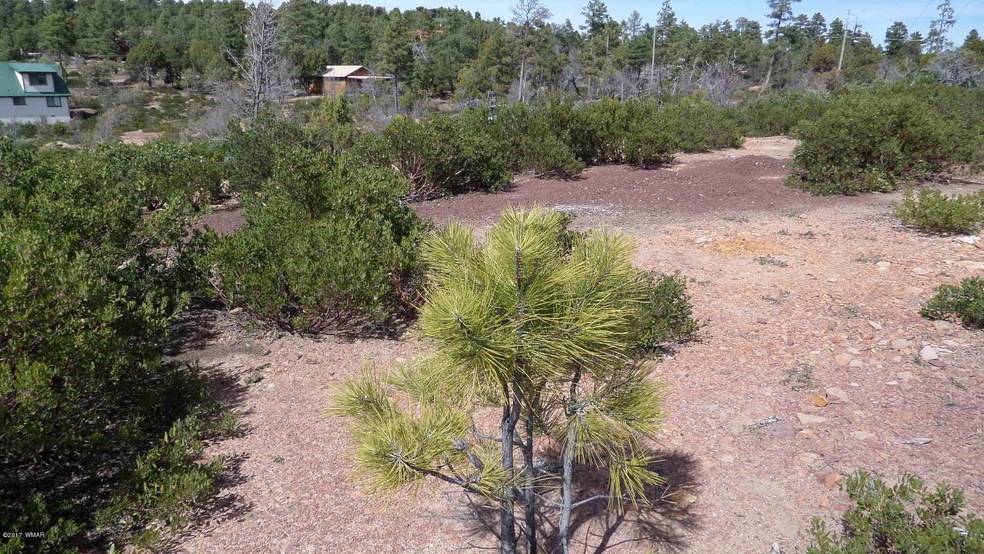 Oaks & pines on lot