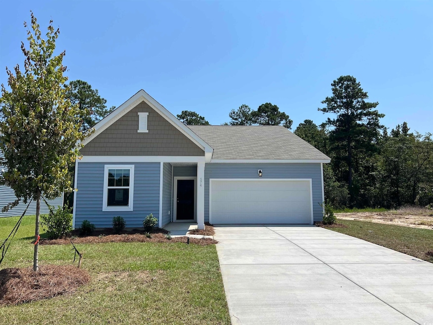 435 Castillo Dr, Loris, SC 29569 - photo 1
