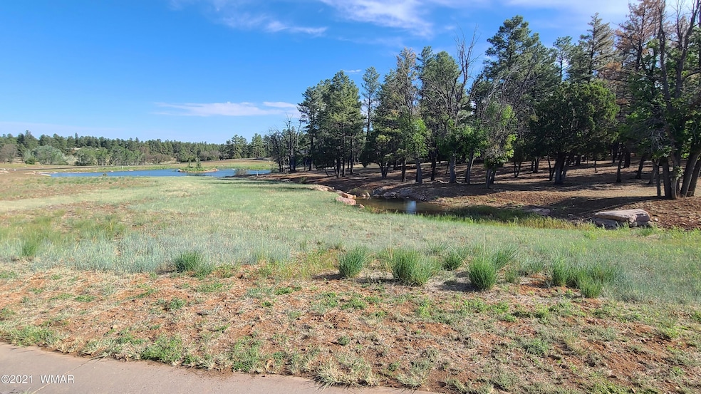 2221 W Edgewater unit Lot 57, Show Low, AZ 85901 - photo 1