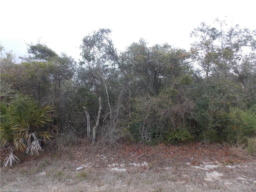 117 Dorchester Rd, Lake Placid, FL 33852 - photo 1