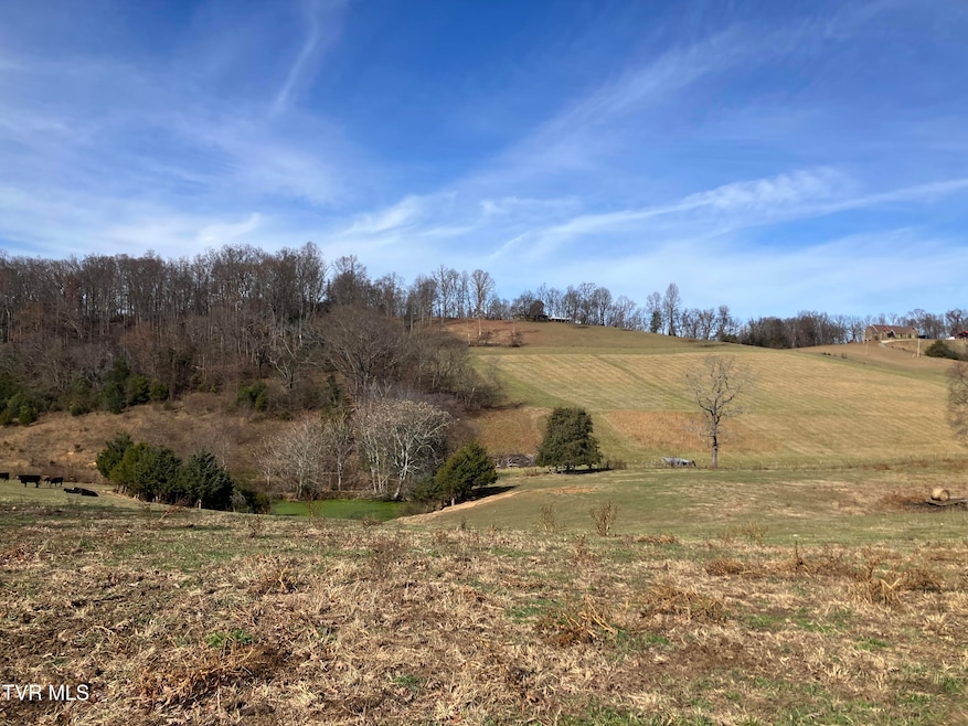 Tbd Methodist Ridge Rd, Telford, TN 37690 - photo 1