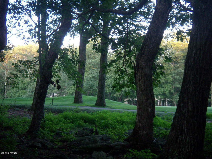 211 Broadmoor Dr, Blooming Grove Township, PA 18428 - photo 1