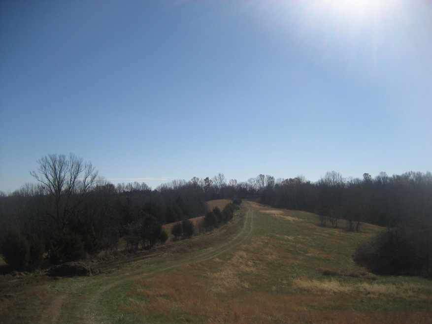 1433 Seaville Rd, Willisburg, KY 40078 - photo 1