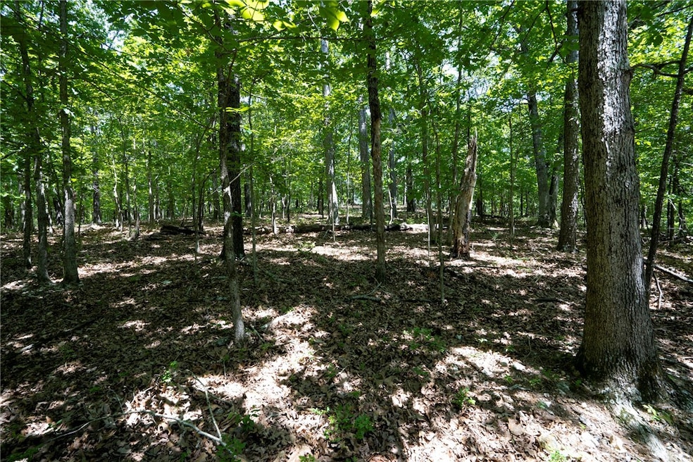 For Sale $14,900 • Co-Listing Agent