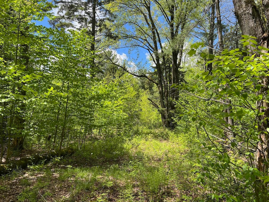 0 Bragg Hill Rd, Waitsfield, VT 05673 - photo 1