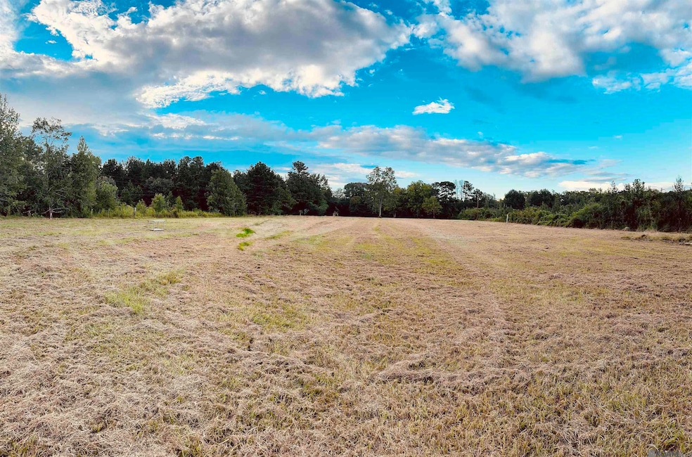 2021 Nesom Rd, Denham Springs, LA 70706 - photo 1