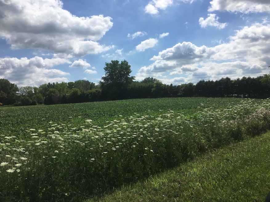 Lot 1 Koppie Rd, Gilberts, IL 60136 - photo 1