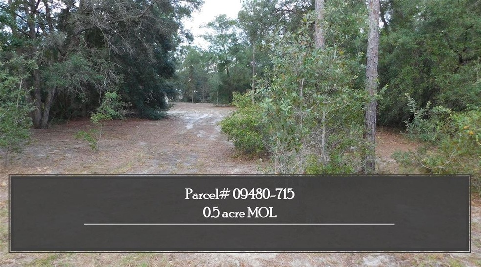 912 Bird Pond Rd, Steinhatchee, FL 32359 - photo 1