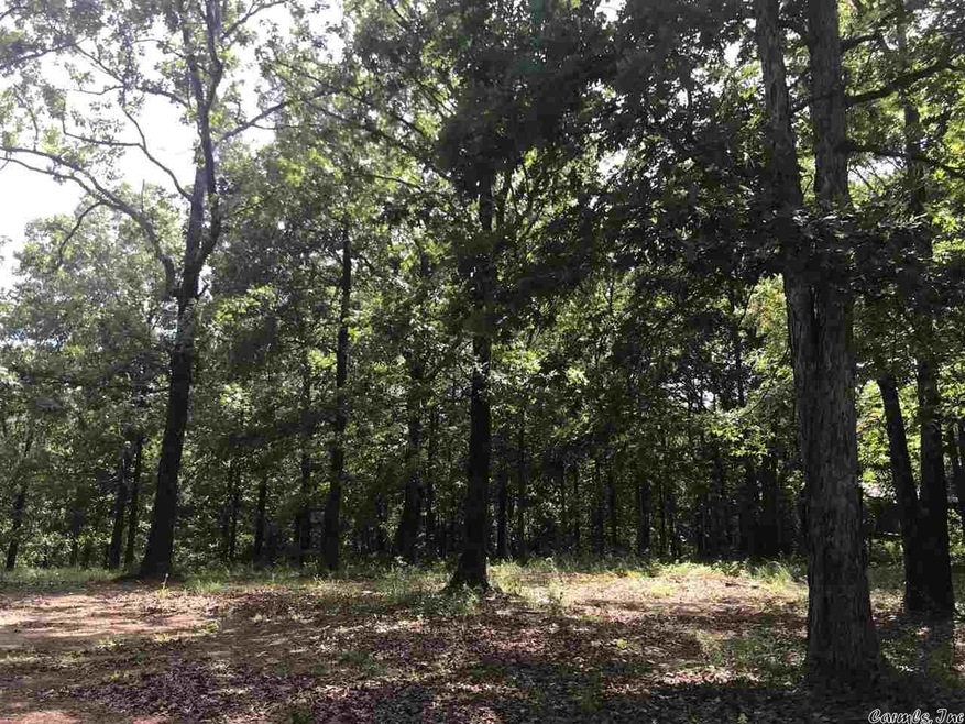 1315 Trailwood Dr, Heber Springs, AR 72543 - photo 1