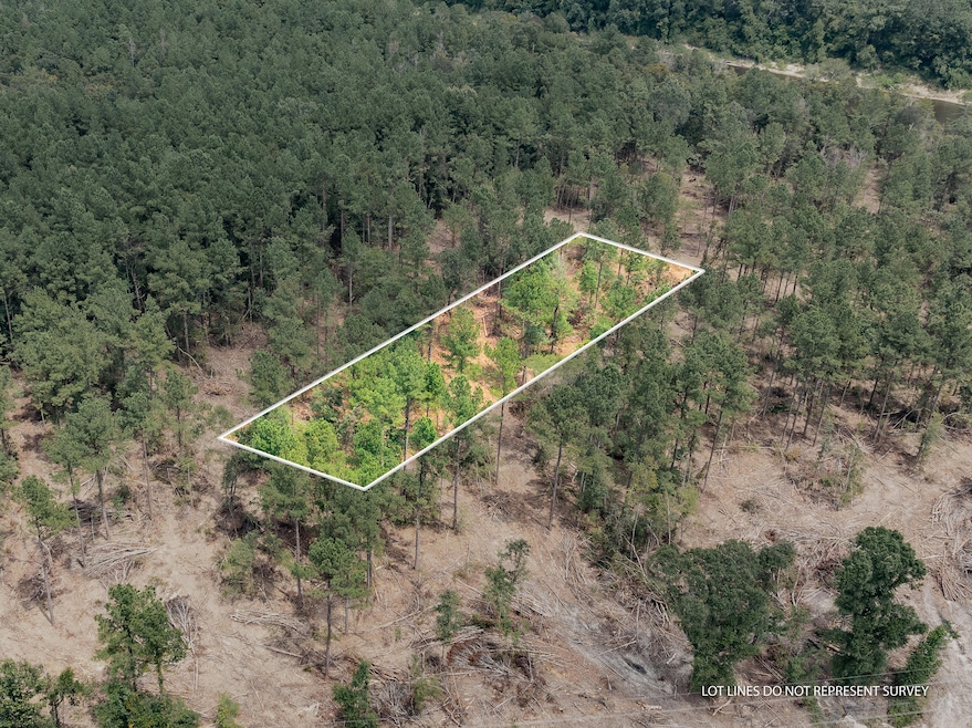 Leaf_River_Parcel_14-1