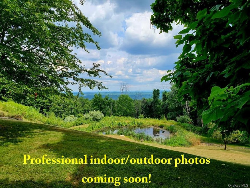 42 Rachel Ct, Bloomingburg, NY 12721 - photo 1