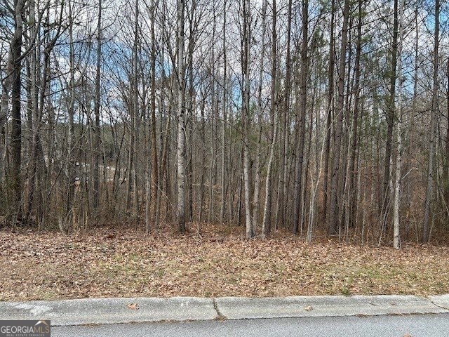 110 Anita Blvd, Mount Zion, GA 30117 - photo 1