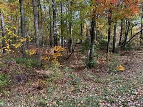 0 Mt Lebanon unit 1161953, Troy, NC 27371 - photo 1