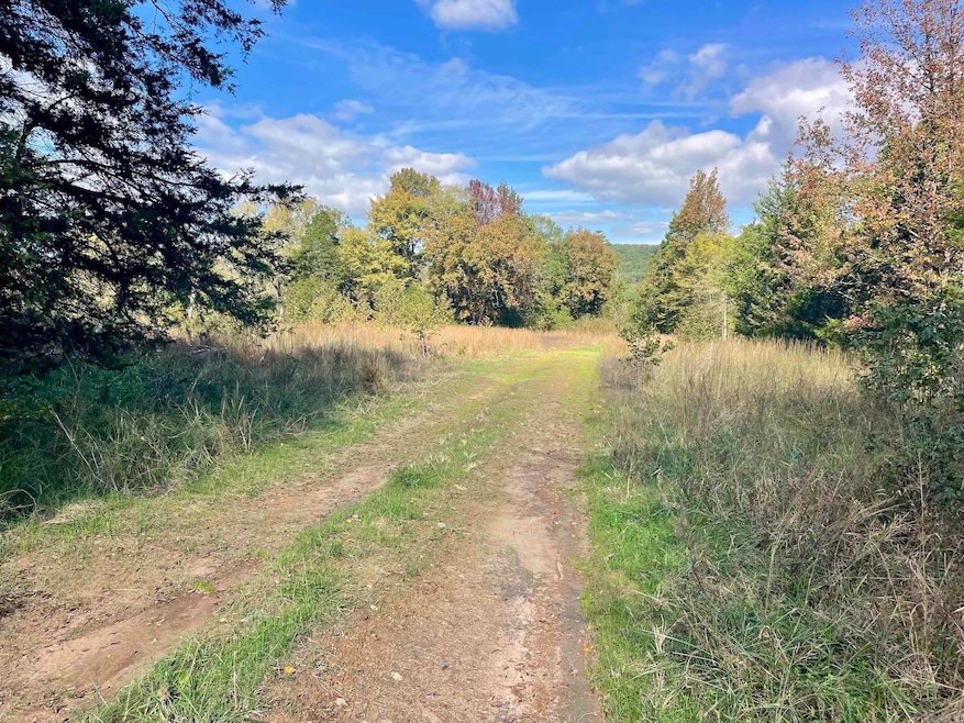 000 Blaty Rd, Lamar, AR 72846 - photo 1