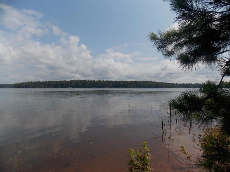 1103 Winding Ridge Dr, Tignall, GA 30668 - photo 1