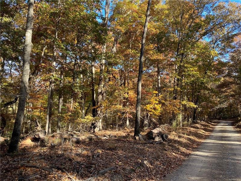 0 Edwards Rd Tract unit 7144560, Demorest, GA 30535 - photo 1