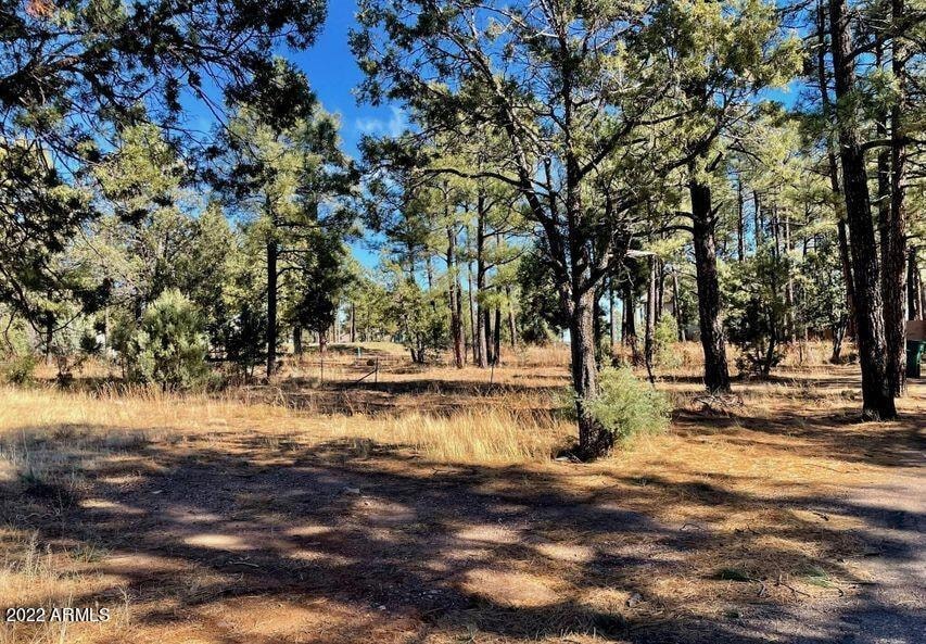 801 Bushman -- unit 1, Show Low, AZ 85901 - photo 1