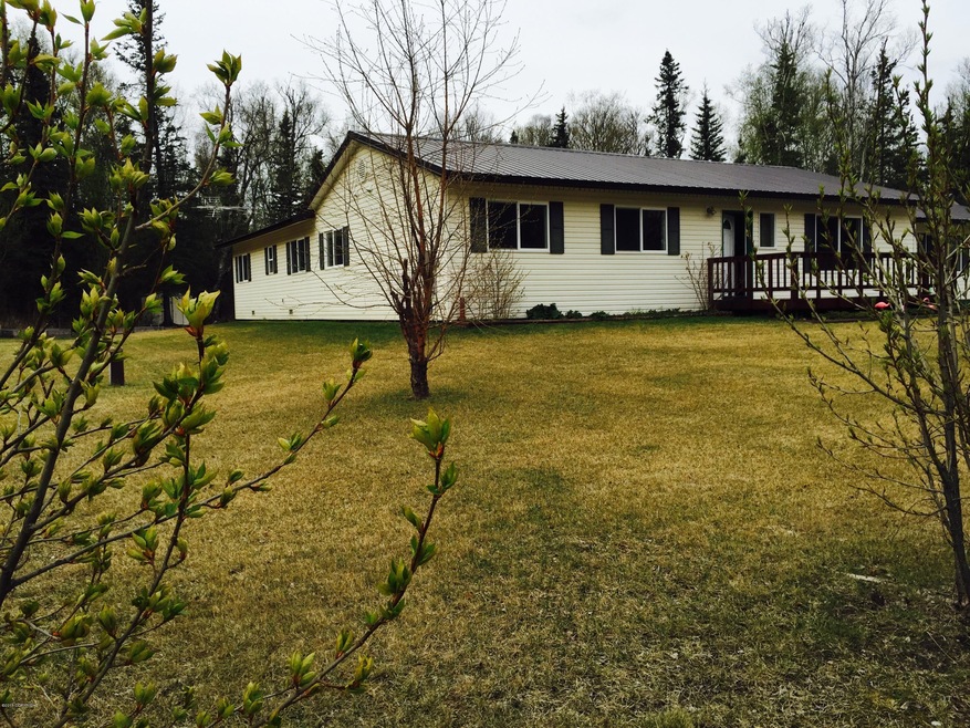 Birch new Front Yard budding trees