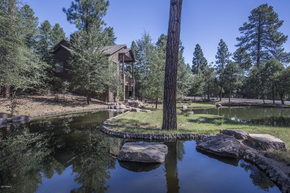 Pond & Home