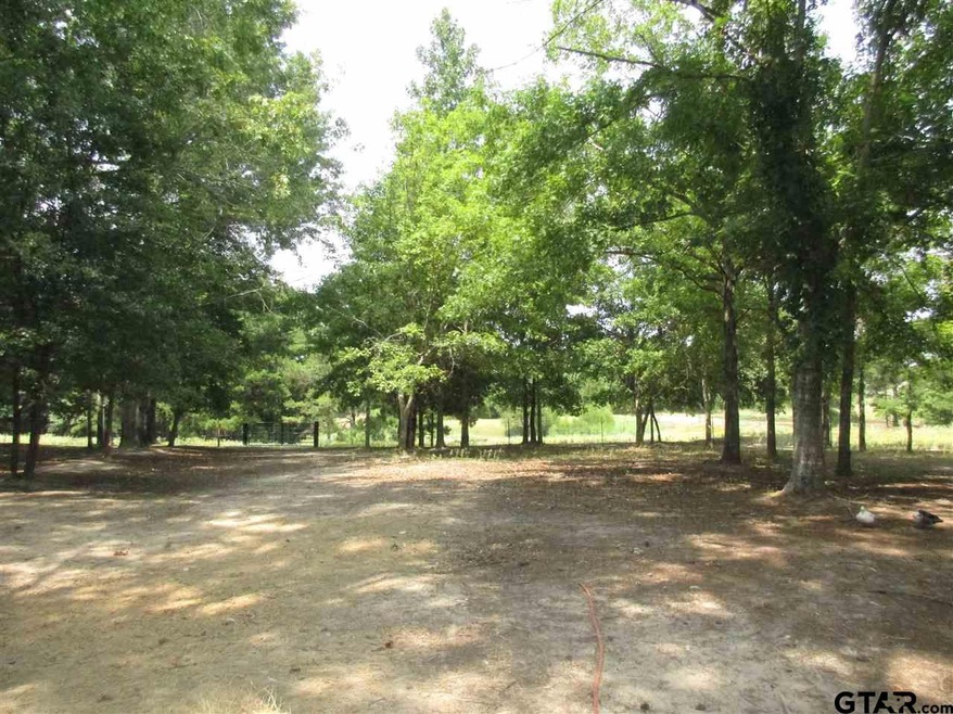 11004 County Road 233, Arp, TX 75750 - photo 1