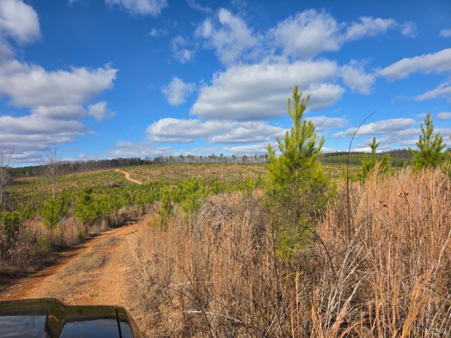 0 Norwood Rd unit 363393, Gladstone, VA 24553 - photo 1