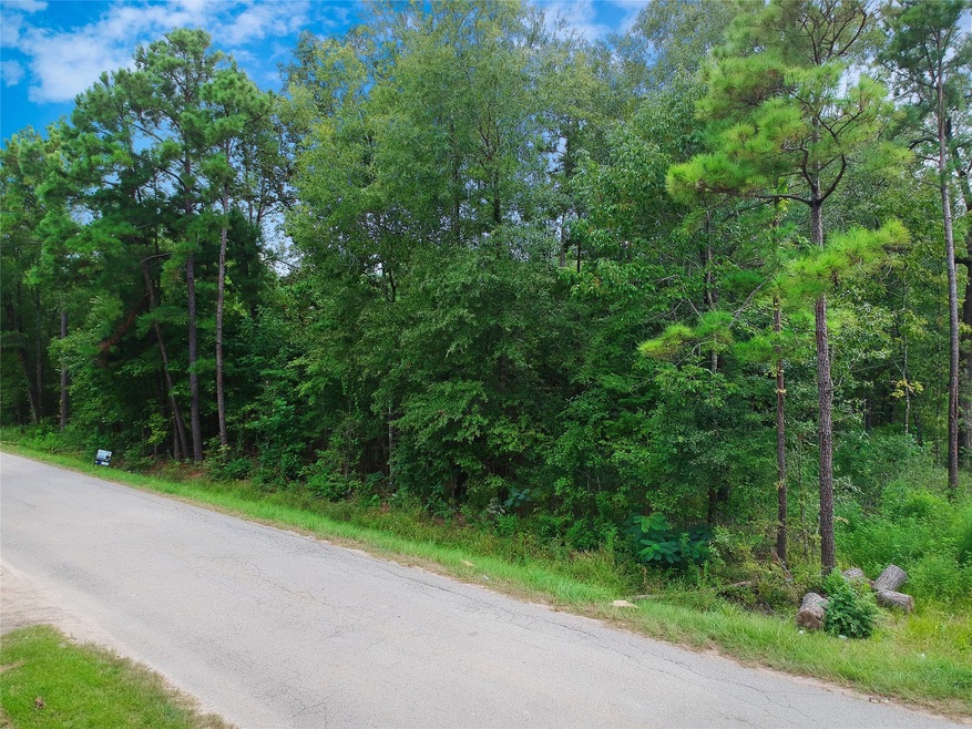 Lot 132 Lexington, the Woodlands, TX 77385 - photo 1