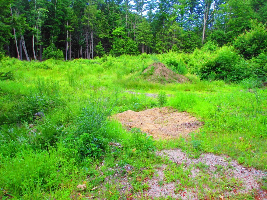 0 Ruonala Rd unit 4917933, Milford, NH 03055 - photo 1