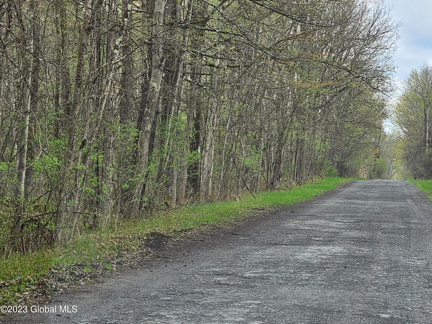 L30 Muldowney Rd, Saratoga Springs, Outside, NY 12866 - photo 1
