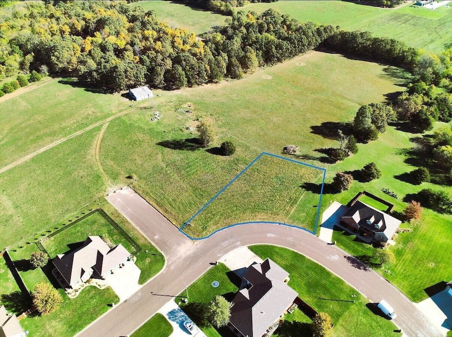 Lot 5 N Port Dr, Monett, MO 65708 - photo 1