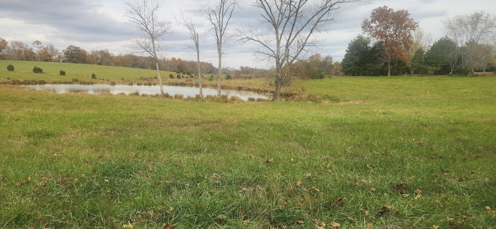 Looking from front of property to the large pond and fields behind the lot. This lot owns about 1/3 of the large pond.