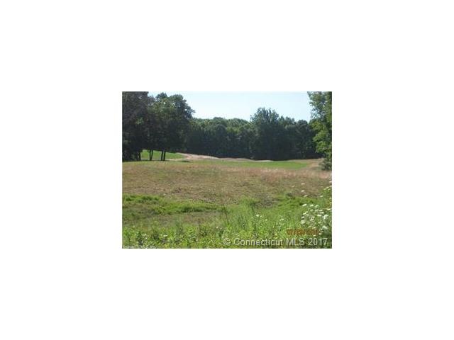 0 Holton Rd unit E10087937, North Franklin, CT 06254 - photo 1