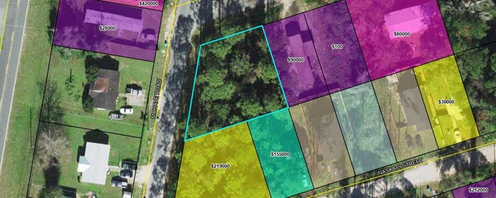 Lot 34&35 Menomini St unit 3, Crawfordville, FL 32327 - photo 1