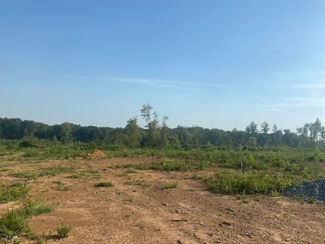 7 Mount Vernon Springs Rd, Siler City, NC 27344 - photo 1