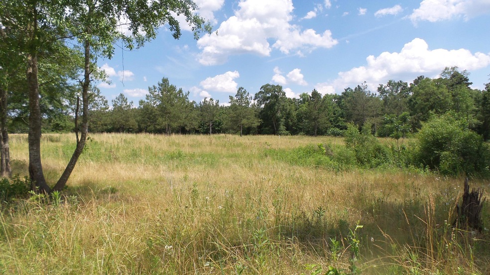 172 Dykes Rd, Soso, MS 39480 - photo 1
