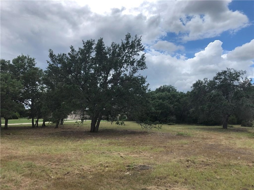 32831 Ranch Road 12, Dripping Springs, TX 78620 - photo 1