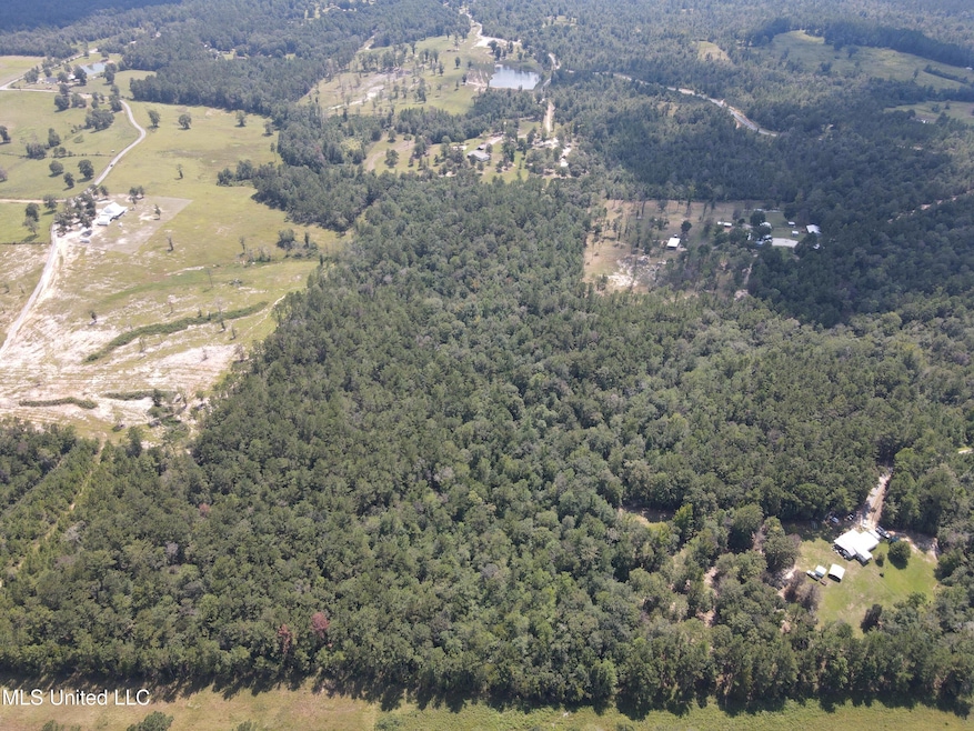 0 Doe Ridge Highland, Lucedale, MS 39452 - photo 1