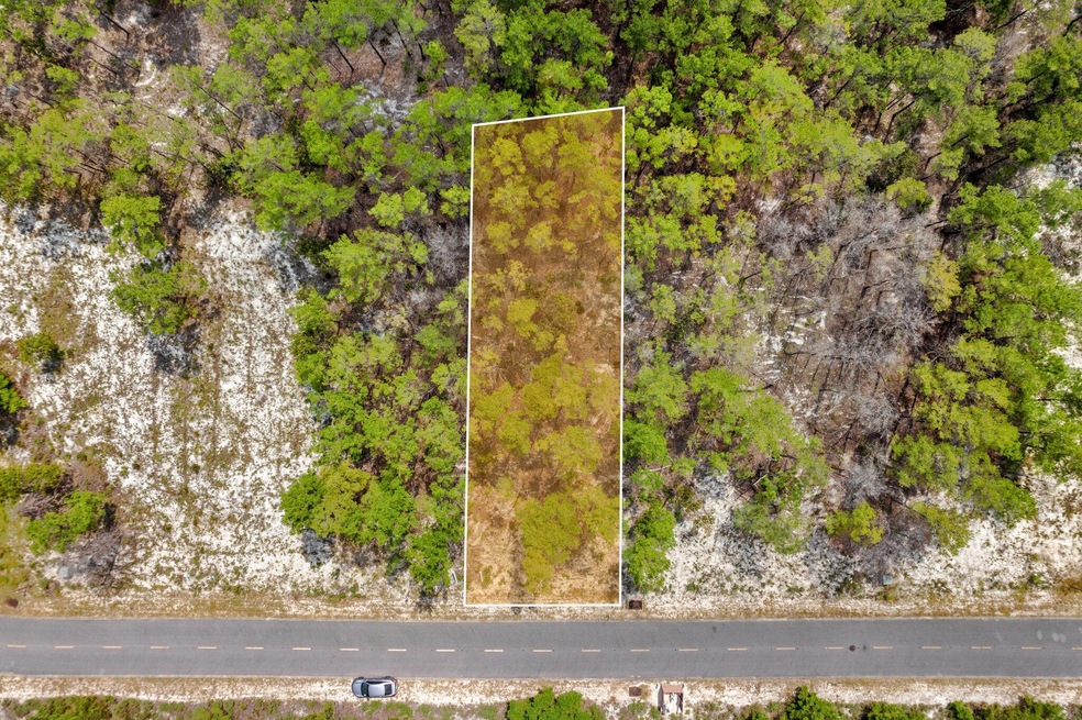 1-web-or-mls-1556-salamander-trail