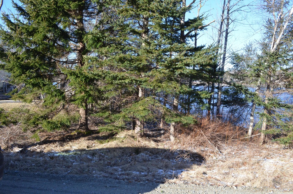 DSC_0005 Water front portion of property