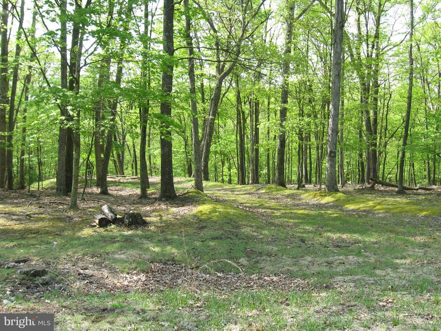 0 Tranquil Way unit WVMO115228, Great Cacapon, WV 25422 - photo 1