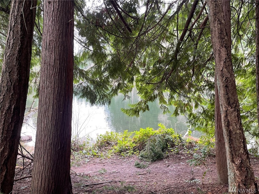 18542 Woodside Dr SE, Yelm, WA 98597 - photo 1