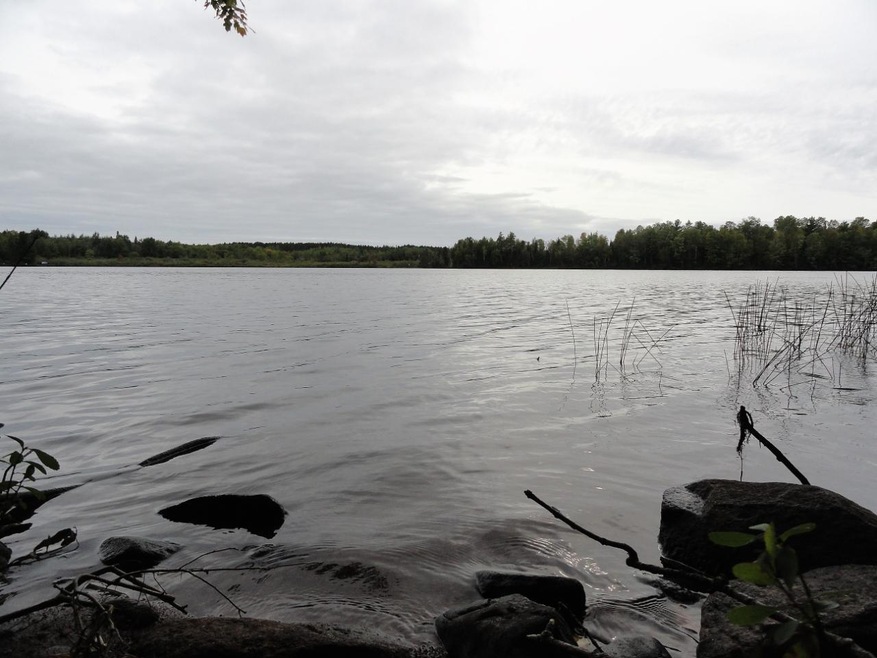 Lot 4 Forrester Rd, Tomahawk, WI 54487 - photo 1