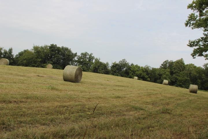 3290 Fords Mill Rd, Versailles, KY 40383 - photo 1