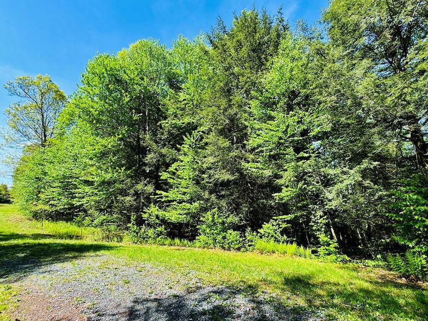 LOT 10 Paradise Rd, Todd Township, PA 16657 - photo 1