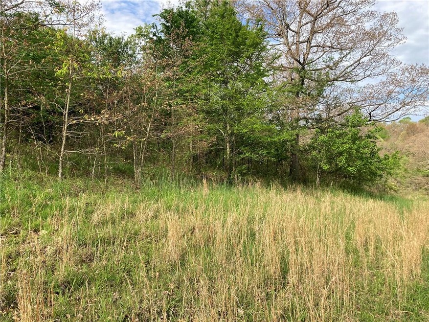 0 Savoy Rd, Fayetteville, AR 72704 - photo 1