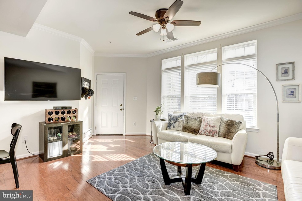 24612 Johnson Oak Terrace, Sterling, VA 20166 - photo 1